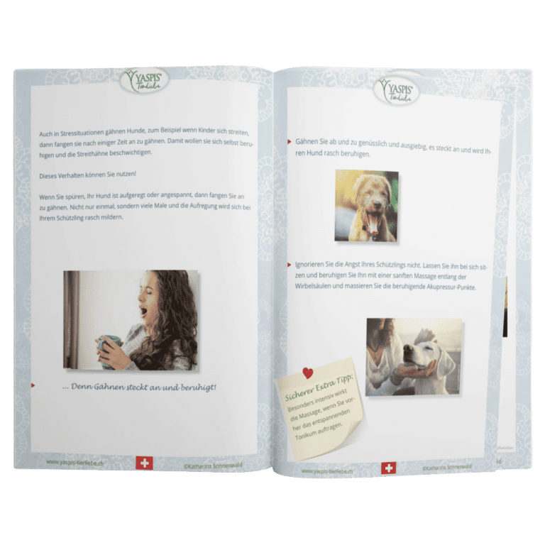 E-Book 1 x 1 für ängstliche Hunde.