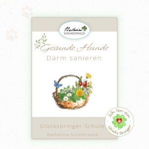 Copy of “Gesunder Darm – gesunder Hund!”