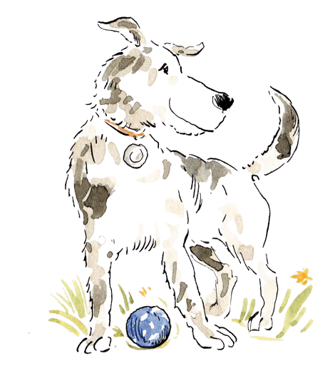 Lustiger Hund