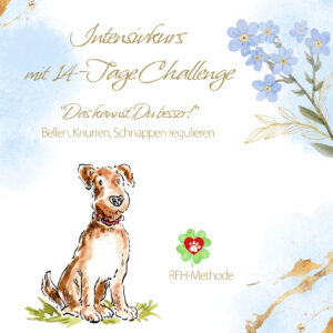 Intensiv-Kurs mit Challenge: Hunden das Bellen abgewöhnen.