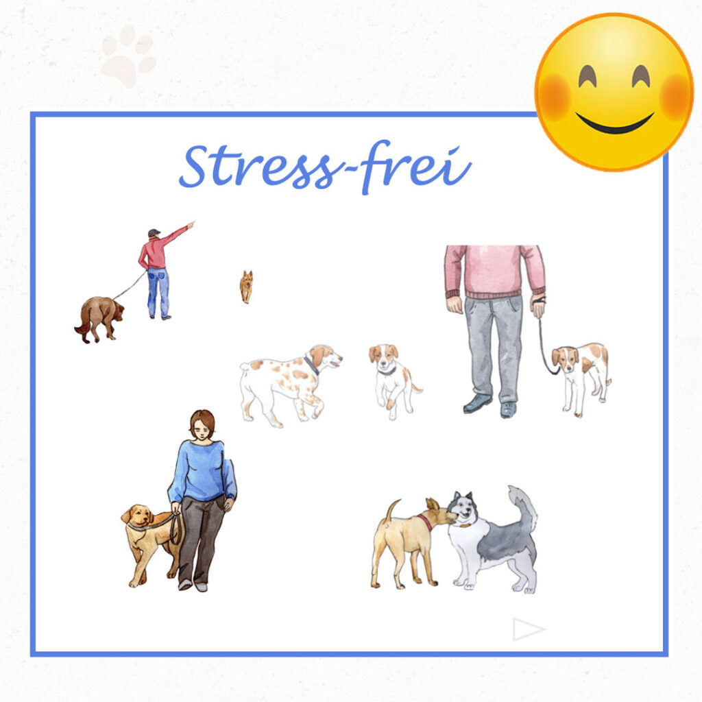 Hunden wurde mithilfe eines Kurses das Bellen abgewöhnt.