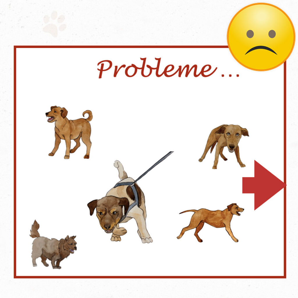 Hunde bellen und machen Stress.