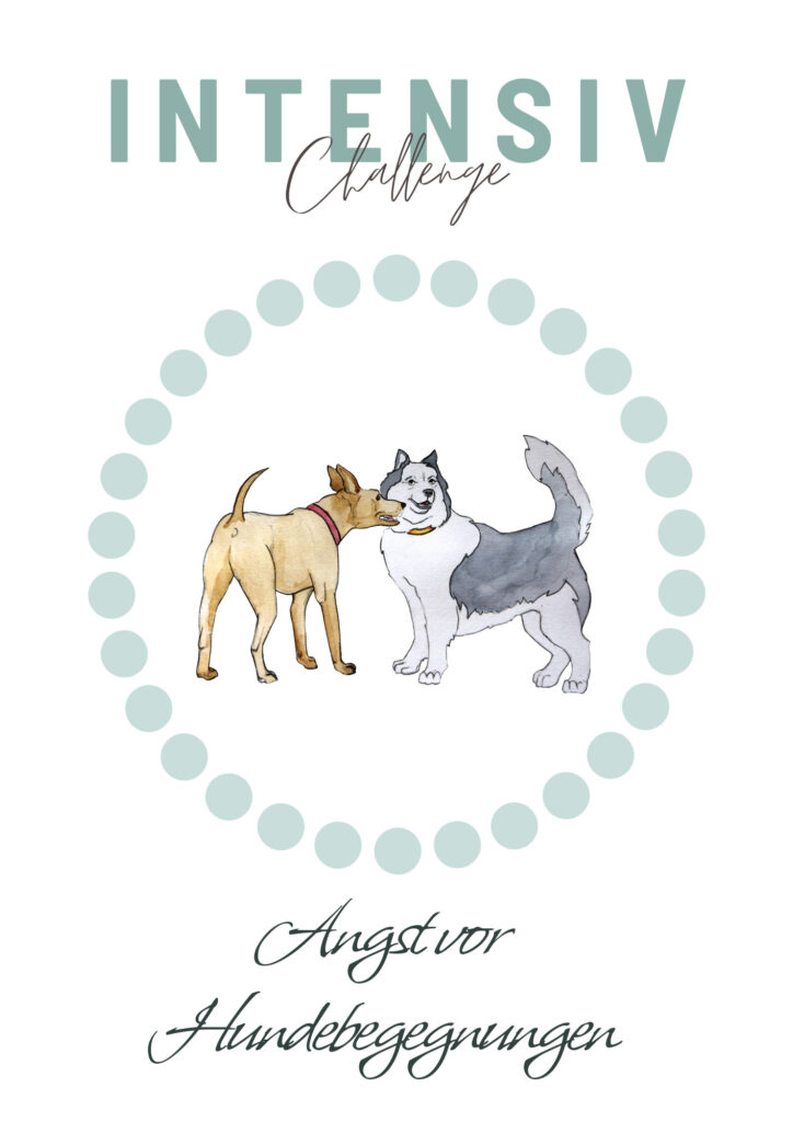 Hundebegegnung
