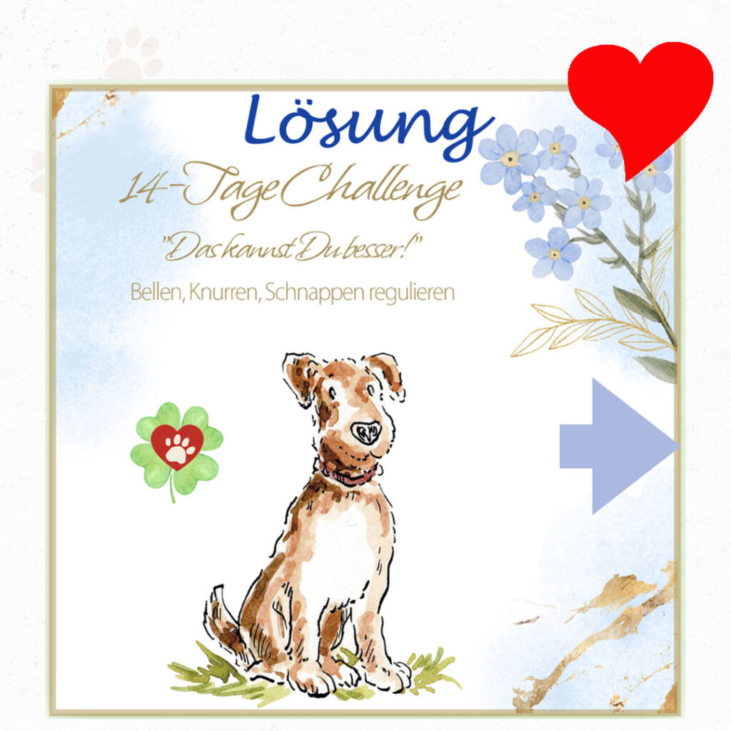 Challenge: Hunden das Bellen abgewöhnen.