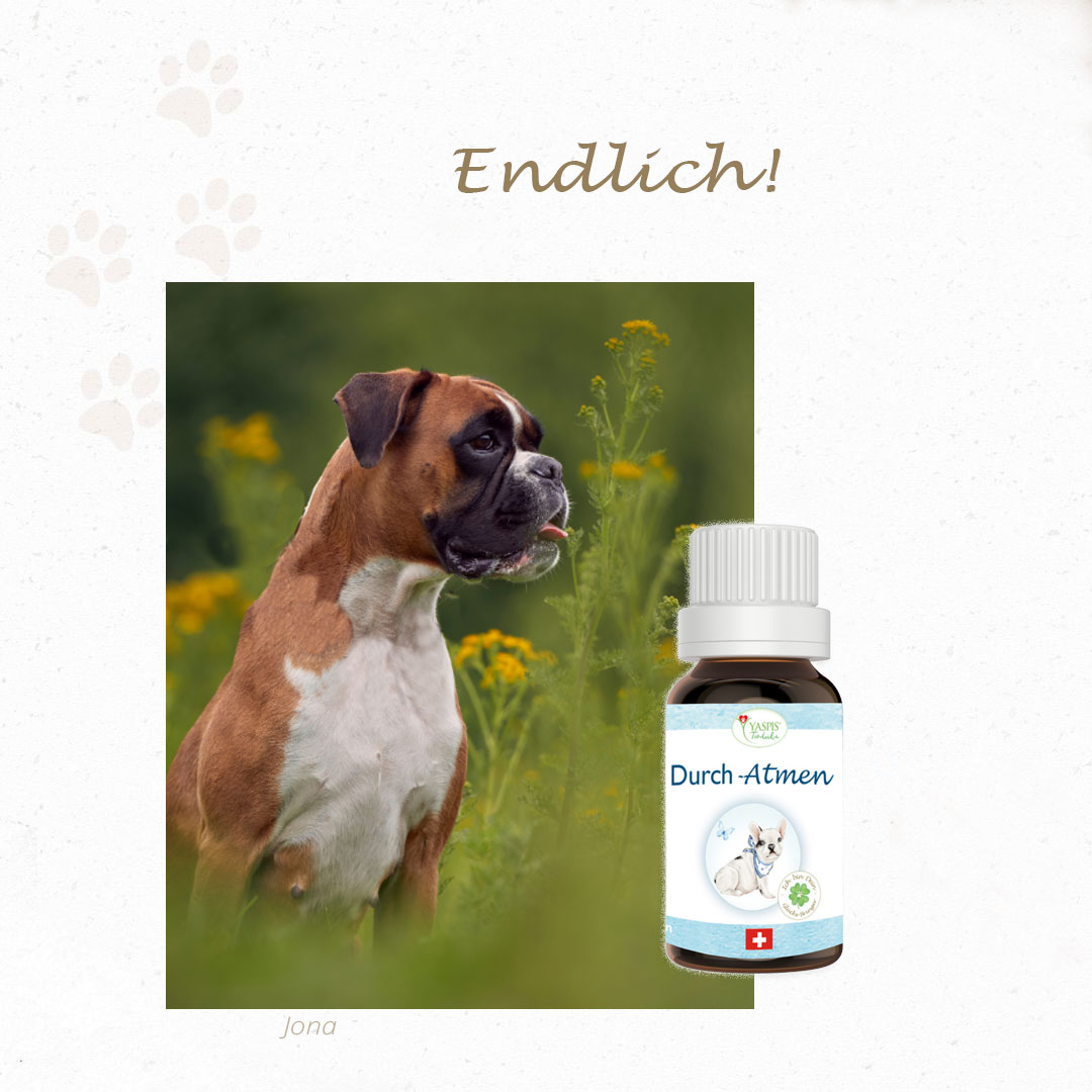 Durch-Atmen (Kopie) – Bild 7