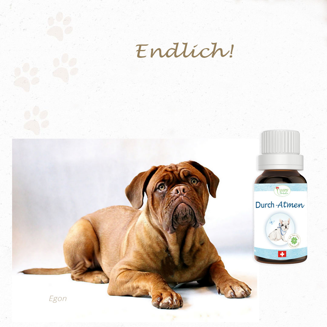 Durch-Atmen (Kopie) – Bild 6