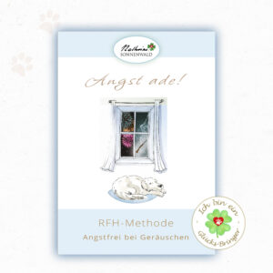 Ich helfe “Dir”! – Deine Angst vor Geräuschen zu besiegen.