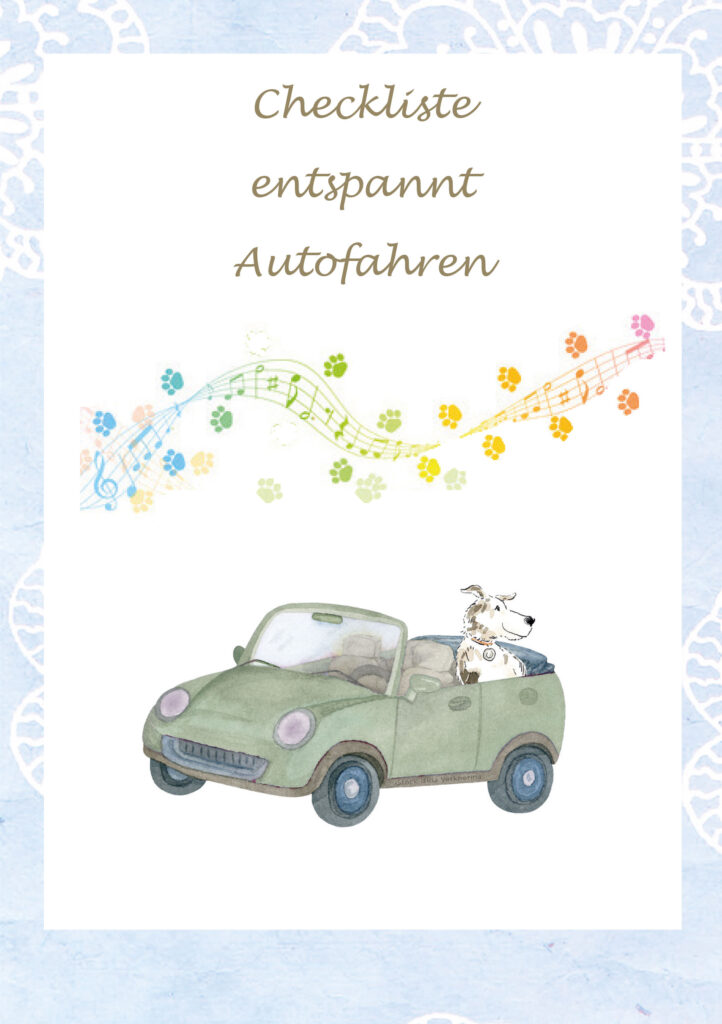 Hund hat keine Angst mehr Auto zu fahren.