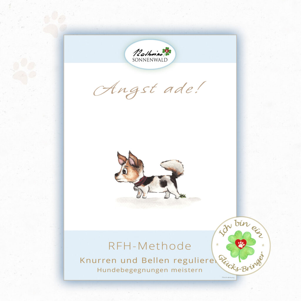 Hund Angst bellen: RFH-Methode Kursbild