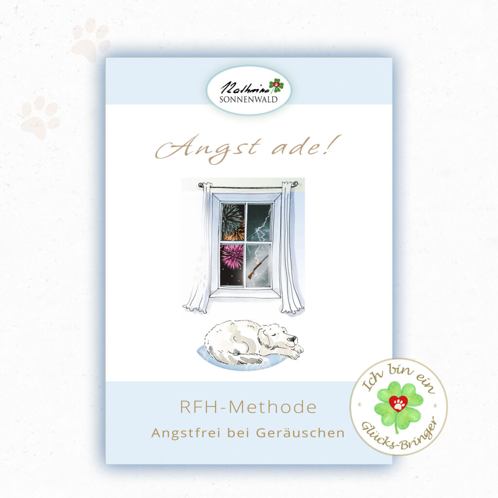 Hund Angst Geräusche: RFH-Methode