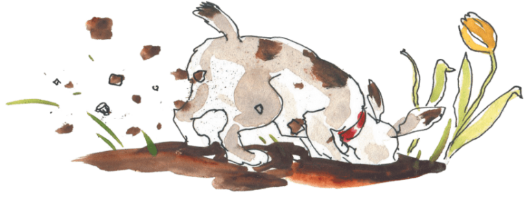 Hund buddelt