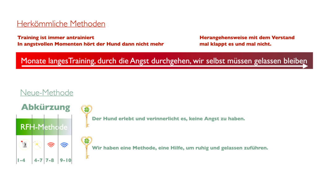 Schaubild Vergleich Trainingsmethoden.