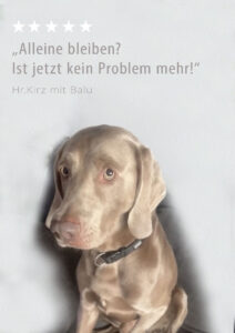Balu hat keine Angst mehr beim alleine bleiben.
