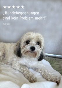 Hundebegegnungen verlaufen entspannt.