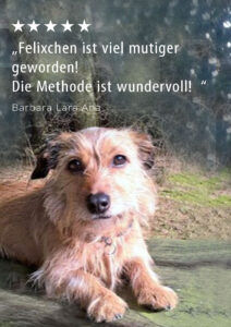 Hund Felix ist nicht mehr unsicher.