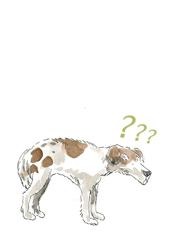 Hund ist unsicher. Illustration