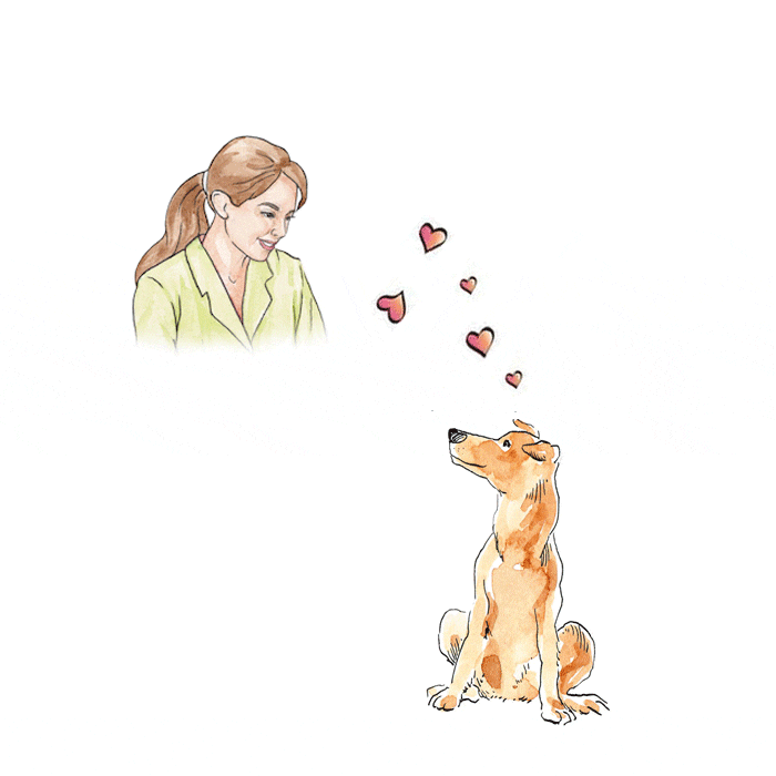 Frau lächelt Ihren Hund an, und er sendet ihr Herzen der Liebe. Hund hat jetzt keine Angst mehr.