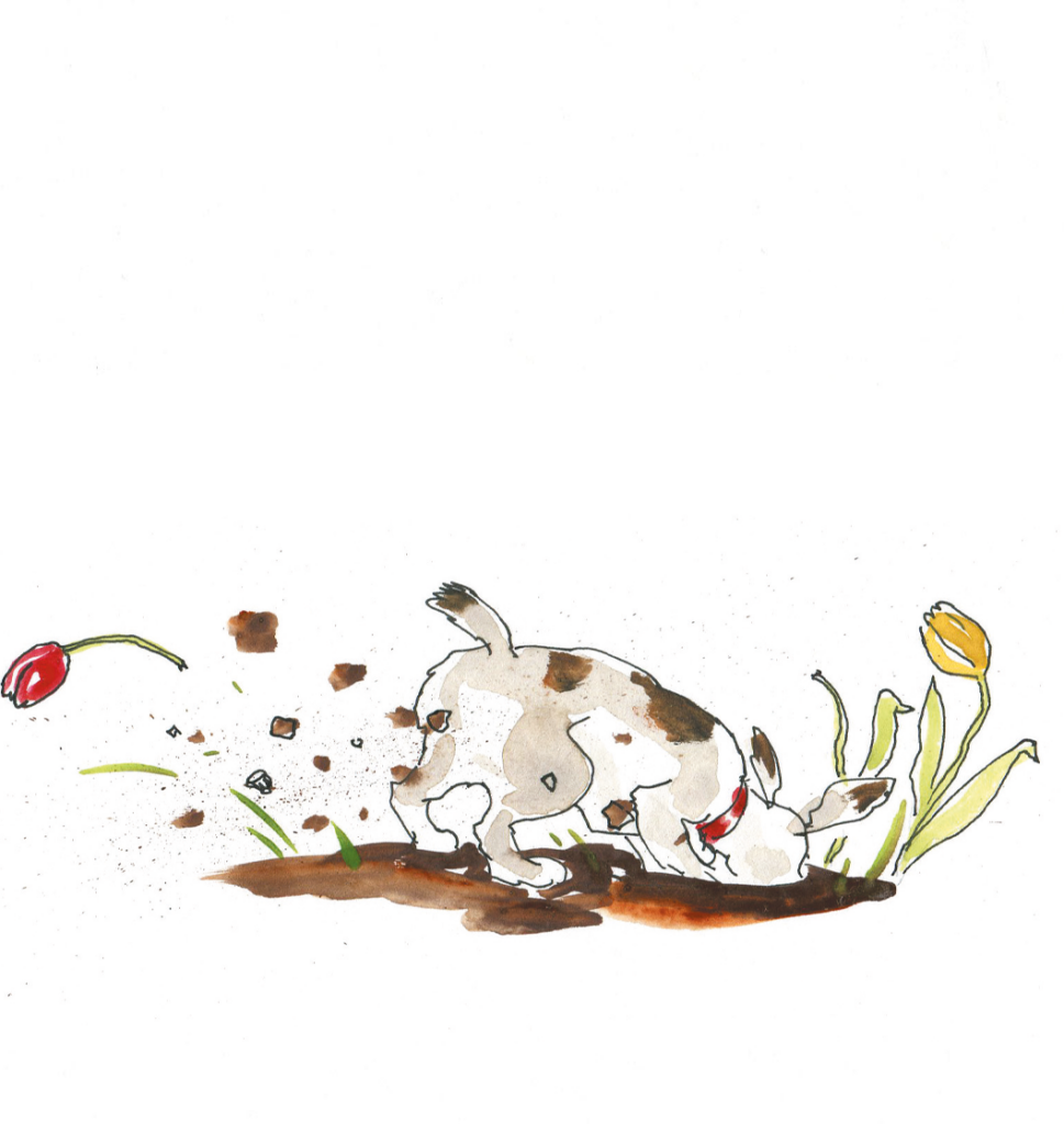 Hund buddelt. Illustration