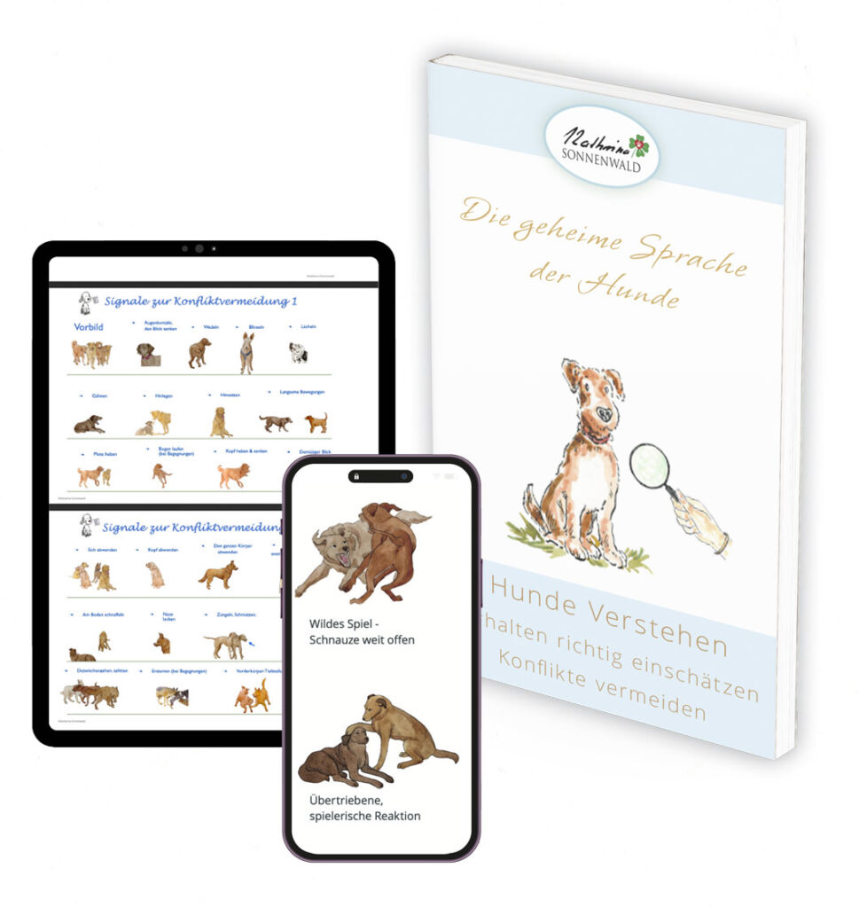 Hunde verstehen- E-Book die geheime Sprache