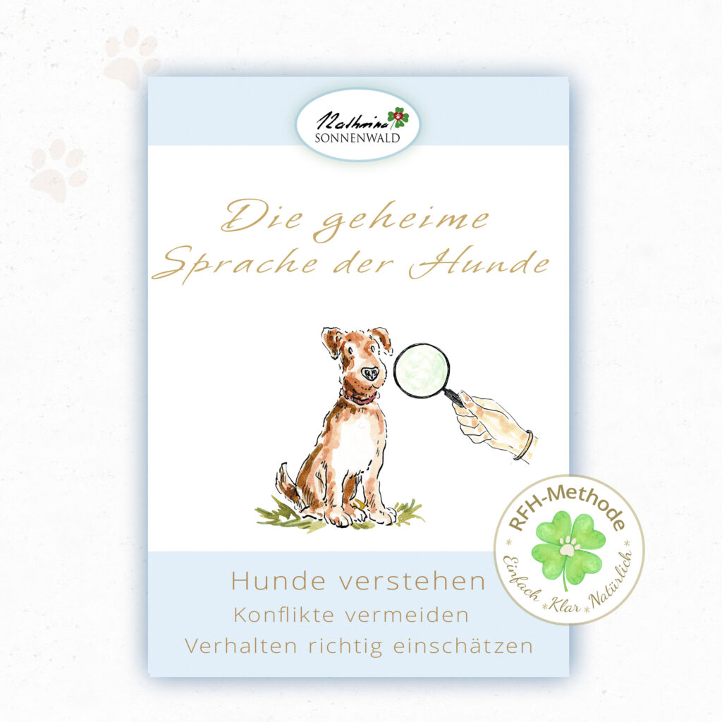Hunde verstehen