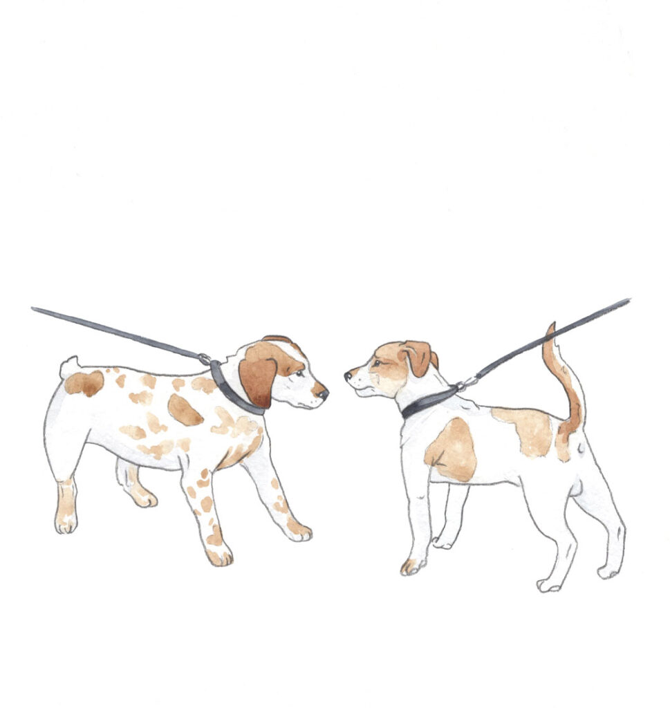Hundebegegnung Illustration