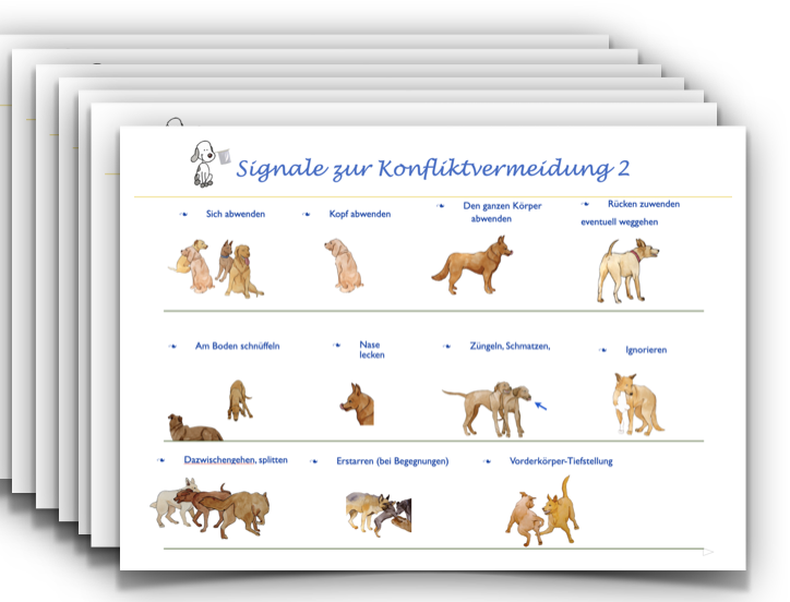 Körpersprache der Hunde.