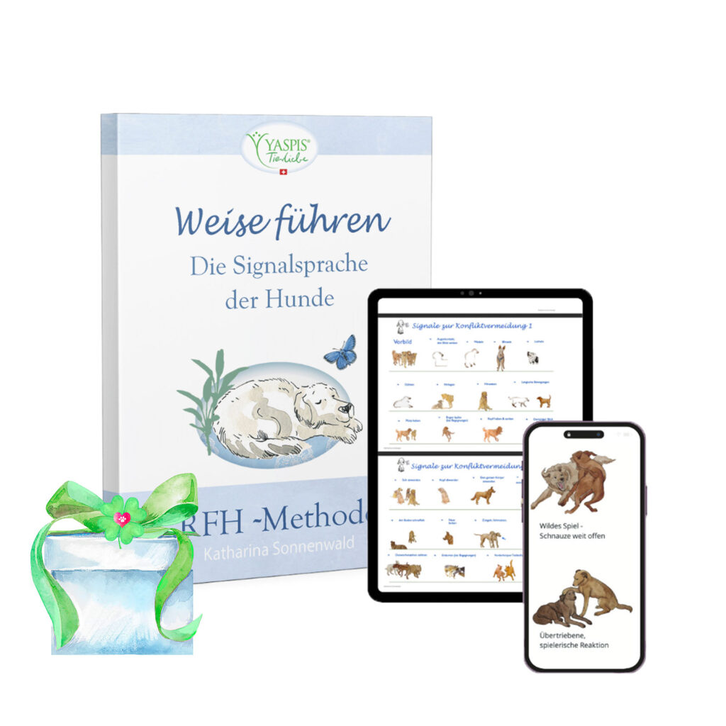 E-Book: Hunde weise führen.