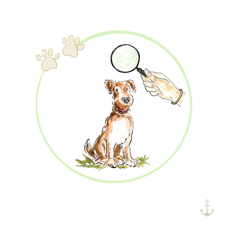 Hunde verstehen. Kursbild