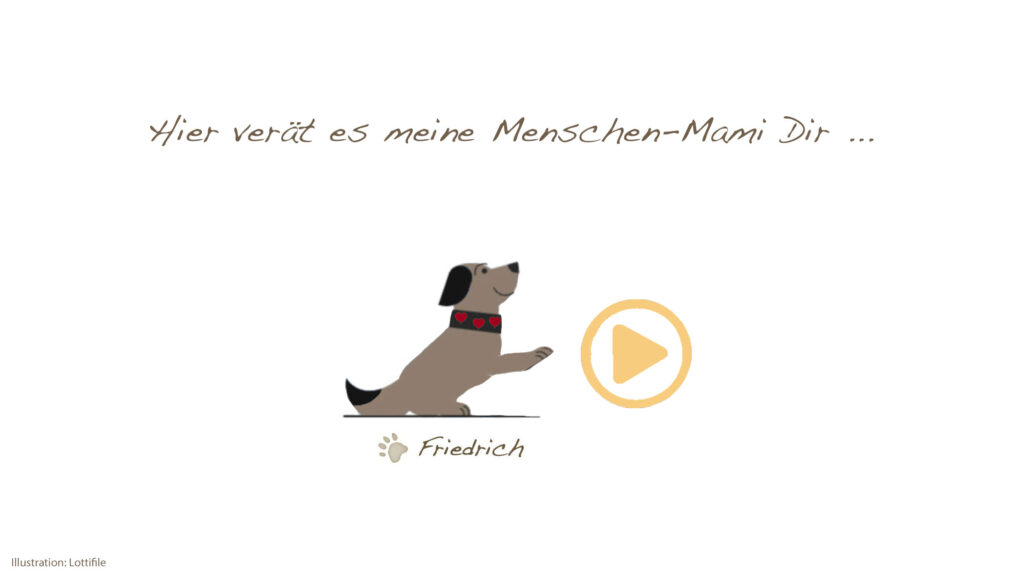 Kleiner Hund Friedrich zeigt auf einen Button.