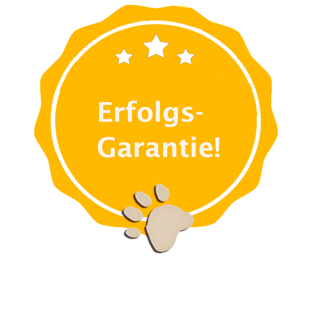 Erfolgsgarantie-Siegel