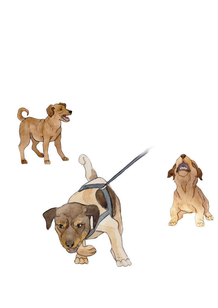 Hunde bellen. Illustration