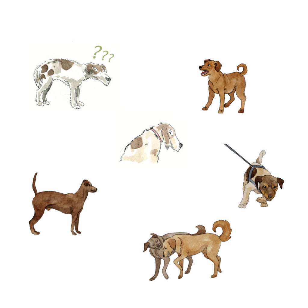 Illustration von bellenden Hunden.