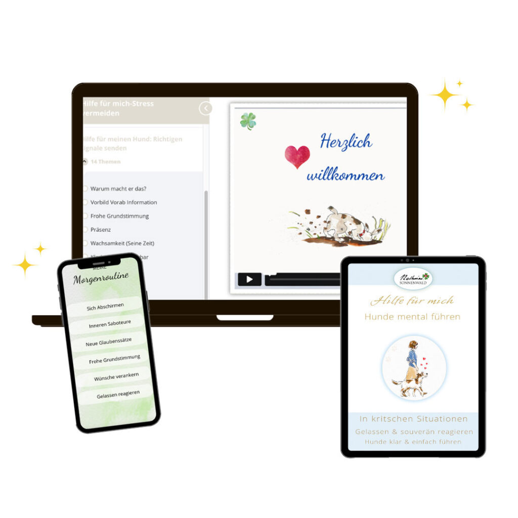 Kursbild-Die Kunst, Hunde mental zu führen.