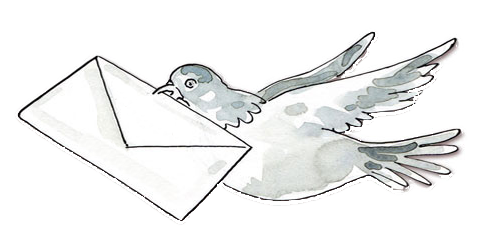 Newsletter.-Brieftaube_-1.png