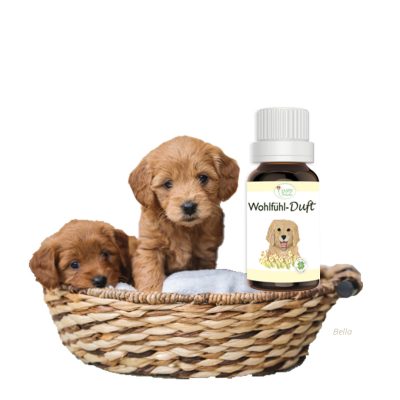 Hundeduft für eine saubere Umgebung im Hundekorb.