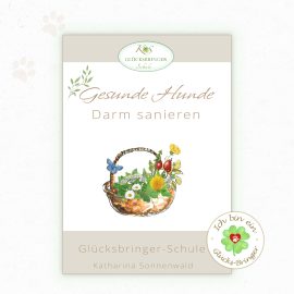 Kursbild: Den Darm beim Hund sanieren-