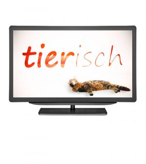 Fernsehen: Fernsehsendung tierisch.