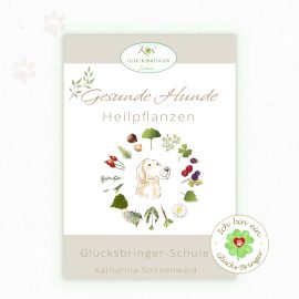 Kursbild: Heilpflanzen für Hunde.