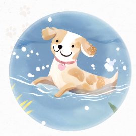 Hund ist gesund und schwimmt im Wasser.