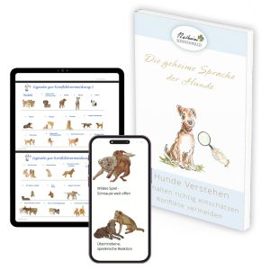 Hunde-verstehen-E-Book.jpg