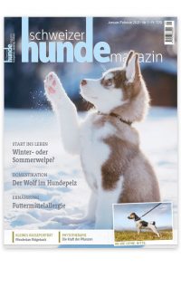 Schweizer Hundemagazin: Titelblatt Winter