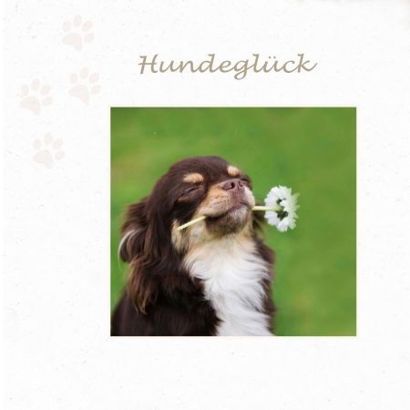 Onlinehundeschule