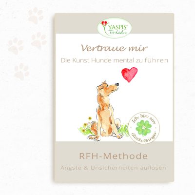 Kurs Vertraue mir