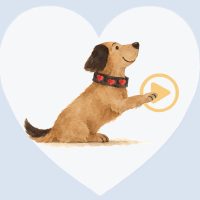 Süsser Hund klickt auf einen Play Button um sich ein Video für ängstliche Hunde an zu sehen.